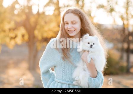 Süßes lächelndes Teenager-Mädchen 15-16 Jahre alt, das den weißen, flauschigen spitz Welpen-Hund über den gelben Herbsthintergrund im Park hält. Freundschaft. Stockfoto