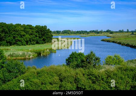 Flusslandschaft des sich schlängelnden Peene im Peene-Tal bei Randow, Hansestadt Demmin, Mecklenburg-Vorpommern, Deutschland. Stockfoto