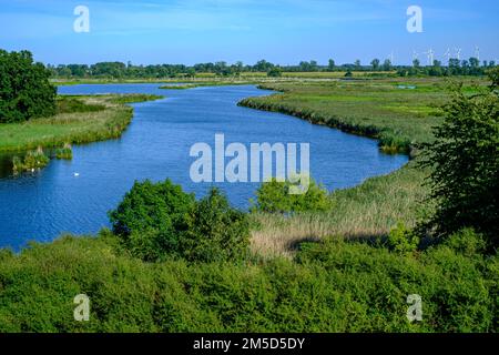 Flusslandschaft des sich schlängelnden Peene im Peene-Tal bei Randow, Hansestadt Demmin, Mecklenburg-Vorpommern, Deutschland. Stockfoto