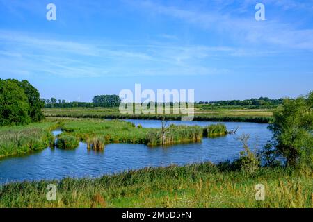 Flusslandschaft des sich schlängelnden Peene im Peene-Tal bei Randow, Hansestadt Demmin, Mecklenburg-Vorpommern, Deutschland. Stockfoto