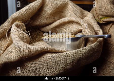 Grüner, ungerösteter Kaffee liegt in Sackleinen. In den Tüten befindet sich eine Schaufel, um Getreide zu streuen. Stockfoto