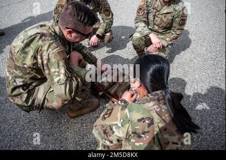 Soldaten von C Comapny, 2916. Luftbataillon, 916. Hilfebrigade und Airmen der 412. Medical Group, führen am Edwards Air Force Base, Kalifornien, 3. März eine medizinische Evakuierungsübung durch. (Air Force Foto von Katherine Franco) Stockfoto