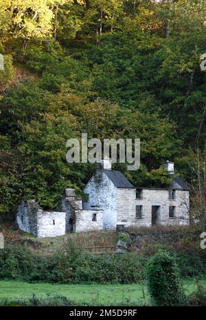 Ruine verfallenes Bauernhaus am Ufer von Afon Teif, zwischen Cilgerran und Lechryd, Pembrokeshire, West Wales, Vereinigtes Königreich Stockfoto