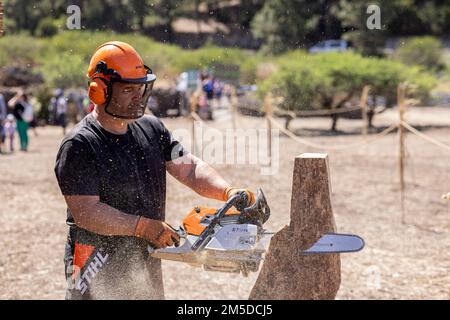 Skulptor für Kettensägen, Künstler bei der Arbeit, der einen Adler aus einem Baumstamm im Dia de la trilla im Ecomuseo in San Jose de Los Llanos, El Tanque, T. Stockfoto