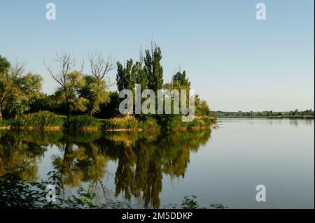 Großer See am Horizont mit Bäumen und Schilf, tiefblaues Wasser im See. Stockfoto