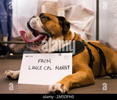 Lance CPL. Manny, das Maskottchen des Marine Corps Recruit Depot (MCRD) San Diego, besucht das Postamt von MCRD San Diego, 4. März 2022. Manny besuchte das Depot, um das vielfältige Team von Mitarbeitern vor Ort zu begrüßen, das sicherstellt, dass die Schulung der Rekruten sicher und effektiv durchgeführt wird. Manny ist benannt nach Sergeant Johnny R. Manuelito, einem der „ursprünglichen 29“ Navajo Code Talker. Stockfoto