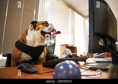 Lance CPL. Manny, das Maskottchen von Marine Corps Recruit Depot (MCRD) San Diego, besucht das Verwaltungszentrum für Installationspersonal von MCRD San Diego, 4. März 2022. Manny besuchte das Depot, um das vielfältige Team von Mitarbeitern vor Ort zu begrüßen, das sicherstellt, dass die Schulung der Rekruten sicher und effektiv durchgeführt wird. Manny ist benannt nach Sergeant Johnny R. Manuelito, einem der „ursprünglichen 29“ Navajo Code Talker. Stockfoto