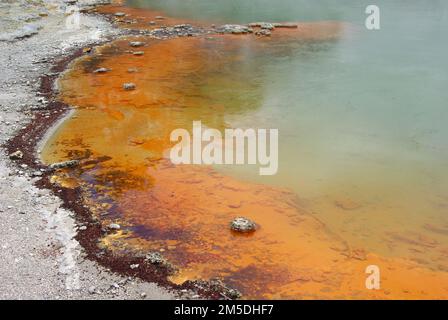 Die farbenfrohen Mineralablagerungen am Rand des Champaigne Pools im Wai-o-Tapu Thermalpark, Rotorua, Neuseeland Stockfoto