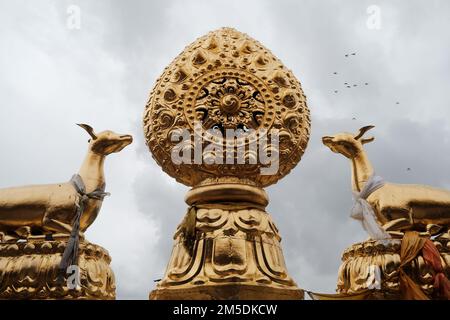 Dharma-Rad im Songzanlin-Kloster in Shangri-la. Tibetisches religiöses Siegel. Goldene Statue auf dem Dach mit Vögeln, die am Himmel fliegen. Stockfoto