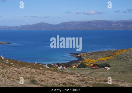 Wirtschaftsgebäude am Kadaver Siedlung auf den Falklandinseln. Stockfoto