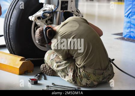 Airman Ashlyn Anderson, ein 362. Training Squadron A-10 Crew Chief Apprentice Course Student aus Kalifornien, betreut die Stoßkonstruktion des Hauptfahrwerks eines A-10 Thunderbolt II während des Trainings auf der Sheppard Air Force Base, Texas, am 4. März 2022. Anderson und ihre Klassenkameraden sind in Block 6 von 7 und werden am 30. März ihren Abschluss machen. Stockfoto