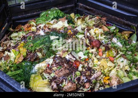 Ökologie, Gartenarbeit, Recycling, offene Kompostierung, Kompost mit Gemüse und Küchenabfällen Stockfoto