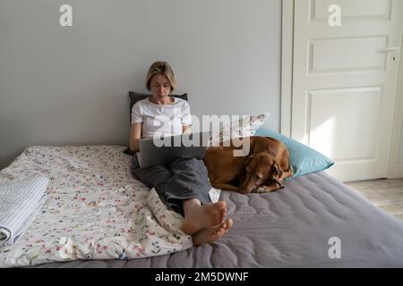 Konzentrierte pensive Frau mit Hund sitzt auf dem Bett und streckt sich Beine mit einem Laptop für Online-Bildung Stockfoto