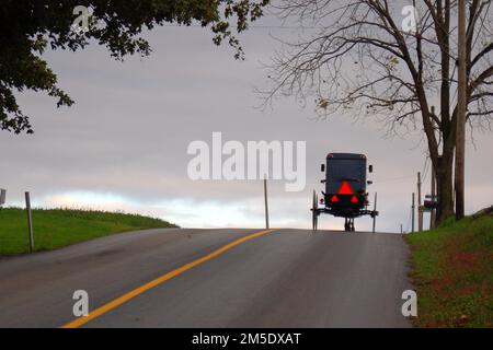 Ein Amish-Pferd und ein Buggy besteigen einen Hügel auf der Straße im Zentrum von Pennsylvania, in der Nähe von Lancaster Stockfoto