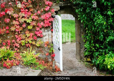 Gartentor - John Gollop Stockfoto