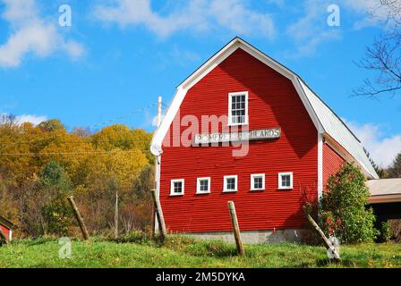 Eine rote Scheune steht auf einer Milchfarm, umgeben von Herbstfarben und Herbstlaub, im ländlichen Vermont Stockfoto