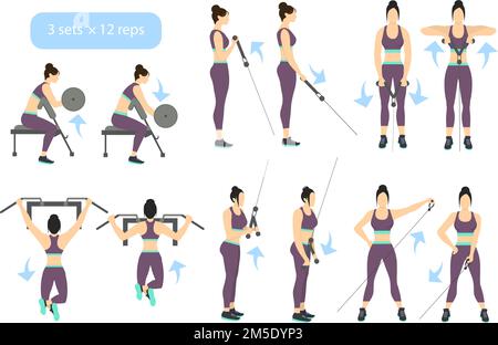 Arms-Workout auf weißem Hintergrund. Übungen für Frauen. Trizeps, Bizeps Stärke. Stock Vektor