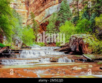 Erzengel-Kaskaden auf linke Gabel North Creek im Zion Nationalpark, utah Stockfoto