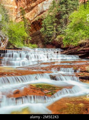 Erzengel-Kaskaden auf linke Gabel North Creek im Zion Nationalpark, utah Stockfoto