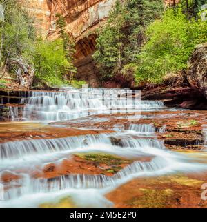 Erzengel-Kaskaden auf linke Gabel North Creek im Zion Nationalpark, utah Stockfoto