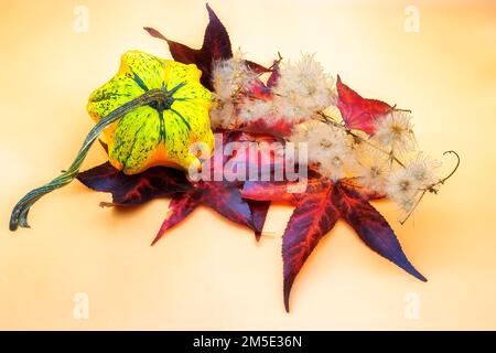 Stillleben Bild von Herbststücken wie Blättern, dekorativen Kürbchen und Resten einer getrockneten Pflanze Stockfoto