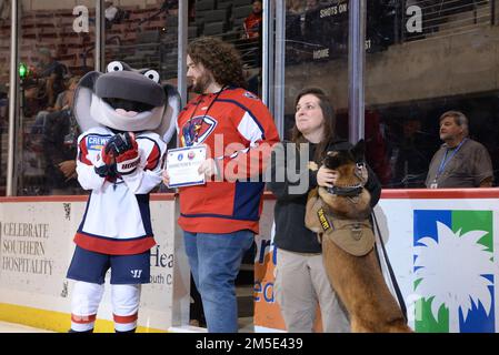 USA Air Force Staff Sergeant Ashlee Pollard, 628. Security Forces Squadron Military Working Dog Handler, streichelt ihren MWD Ari, während sie die „Hometown Hero“-Auszeichnung während eines Spiels der South Carolina Stingrays in North Charleston, South Carolina, 6. März 2022 erhielt. Die Hometown Hero Recognitions ermöglichen es den anerkannten Personen, während eines Spiels etwas Zeit auf dem Eis zu verbringen und einige der Stingrays-Mitarbeiter zu treffen. Stockfoto