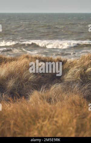 Dünen an der dänischen Küste mit Gras bedeckt. Hochwertiges Foto Stockfoto