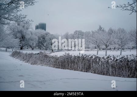 Im öffentlichen Park in Riga, Lettland, sind Schneebäume und eisige Flüsse zu sehen. Winterlandschaft Stockfoto