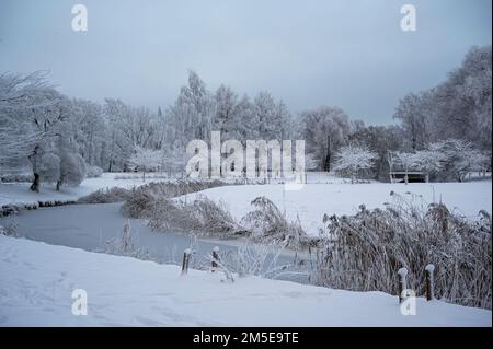 Winterlandschaft. Blick auf den gefrorenen Fluss und mit Schneebäumen bedeckt. Stockfoto