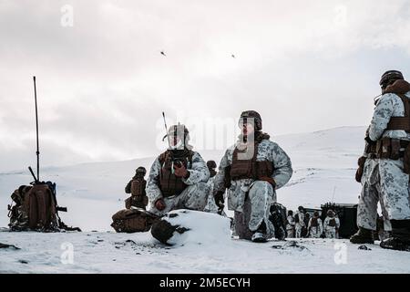 USA Marines, die dem 3. Bataillon, dem 6. Marineregiment, der 2. Marine-Division angeschlossen sind, koordinieren die Luftunterstützung mit einem US-Militär Marinekorps Bell UH-1Y Venom und Bell AH-1Z Viper zugewiesen an Marine Light Attack Helicopter Squadron 269 (HMLA-269), 2. Marine Aircraft Wing, vor der Übung Cold Response 22 in Setermoen, Norwegen, 7. März 2022. Übung Cold Response 22 ist eine alle zwei Jahre stattfindende norwegische nationale Bereitschafts- und Verteidigungsübung, die in ganz Norwegen stattfindet, unter Beteiligung jedes seiner Militärdienste, darunter 26 alliierte Nationen und regionale Länder der Nordatlantikvertrags-Organisation (NATO) Stockfoto
