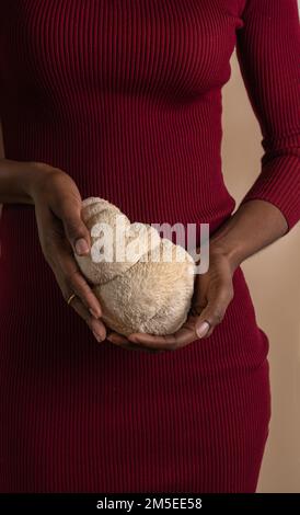 Familienhände mit Löwenmähnenpilzen Stockfoto