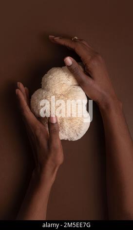 Familienhände mit Löwenmähnenpilzen Stockfoto