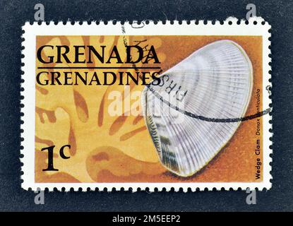 stornierte Briefmarke, gedruckt von Grenada, die Wedge Muschel zeigt, circa 1976. Stockfoto