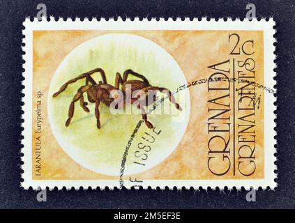 stornierte Briefmarke, gedruckt von Grenada, die Tarantula zeigt, circa 1976. Stockfoto