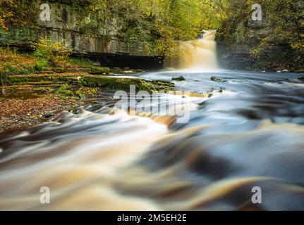 Wensleydale West Burton Falls oder Cauldron Falls mit Herbstfarben Wensleydale Yorkshire Dales Nationalpark North Yorkshire England GB Europa Stockfoto