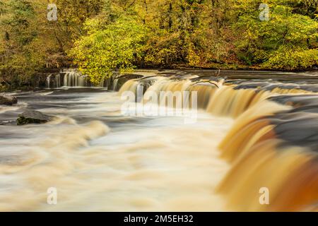 Yorkshire Dales National Park Upper Aysgarth Falls on the River ure mit Herbstfarben Wensleydale Yorkshire Dales North Yorkshire England UK GB Stockfoto