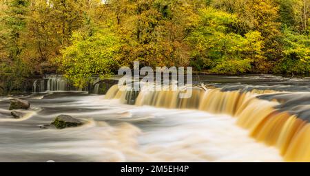 Yorkshire Dales National Park die Upper Aysgarth Wasserfälle bilden den Fluss ure Wensleydale Yorkshire Dales North Yorkshire England Großbritannien GB Europa Stockfoto