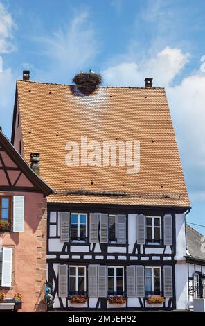 Dächer mit Störchen in der Stadt Ribeauville, Frankreich Stockfoto