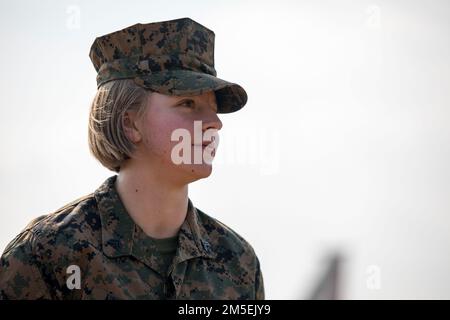 USA Charlotte Marchek, eine mobile Technikerin des Marine Aviation Logistics Squadron 12, erhält die Navy and Marine Corps Achievement Medal, weil sie die Marine Aircraft Wing Marine des Jahres 1. in der Marine Corps Air Station Iwakuni, Japan, am 8. März 2022 war. Marine of the Year wird an Marines verliehen, die in ihrem Dienst Führungsstärke und Mut demonstrieren, herausragende Unterstützung anbieten, mit wem sie dienen, die Arbeitsmoral verbessern und durch ihre Mentorschaft andere inspirieren. Stockfoto