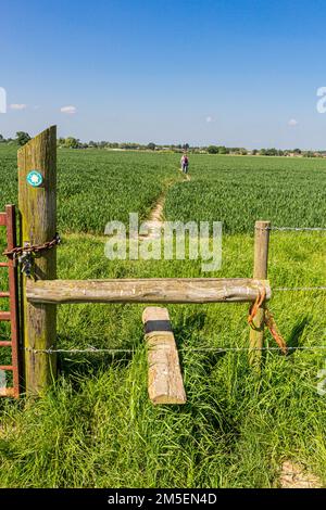 Wandern in der englischen Landschaft - Ein ländlicher und rustikaler Stiel, den Sie auf einem Spaziergang auf einem Bauernfeld in Spencers Wood, Wokingham, Berkshire, Großbritannien, überqueren können Stockfoto