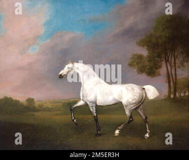 George Stubbs - Ein graues Pferd - 1793 - Ein graues Pferd im Profil geht nach links mit seinem rechten Vorderbein in einer hügeligen Landschaft. Stockfoto