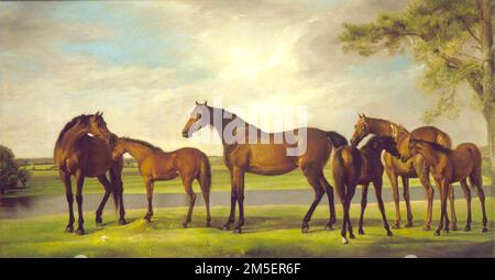 George Stubbs - Mares und Foals gestört von einem Sturm - 1764-1765 Stockfoto