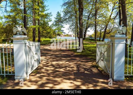 Elagin Island Park. Sankt Petersburg. Elagin Palast. Stockfoto