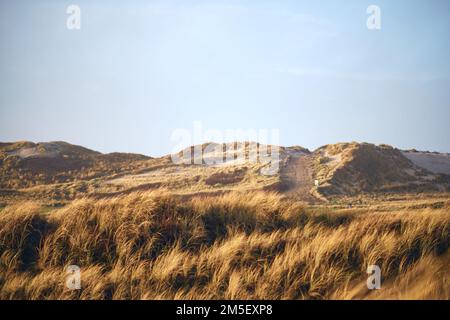 Dünen-Landschaft in Denmarks bei niedriger Wintersonne. Hochwertiges Foto Stockfoto