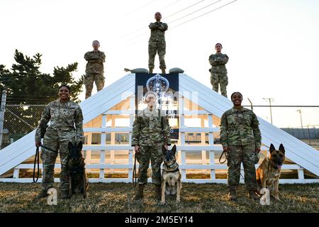 Die Luftwaffenstaffel 8. Military Working Dogs lächeln mit ihren MWDs am Luftwaffenstützpunkt Kunsan, Republik Korea, 9. März 2022. Zu Ehren des Women’s History Month reflektierten die weiblichen MWD-Handler darüber, dass sie in einem von Männern dominierenden US-Militär- und Karrierebereich tätig waren. Stockfoto