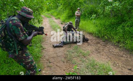 Tansania People’s Defense Force (TPDF) und Marine Special Forces (MSF) praktizieren kleine Einheiten und patrouillieren mit den USA Army Green Beret wurde 3. Special Forces Group im Rahmen einer Joint Combined Exchange Training (JCET) in der Nähe von mSATA, Tansania, am 9. März 2022 zugeteilt. Die Teams konzentrierten sich auf die Vertiefung grundlegender Fähigkeiten wie grundlegende Schießkunst, Taktik kleiner Einheiten und Missionsplanung. Stockfoto