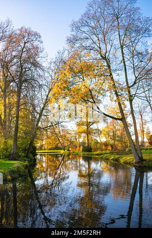 Malerischer Herbstblick auf Bäume, die sich im Wasser der Schlossgärten der Burg „De Haar“ in der Nähe von Haarzuilens, Niederlande, widerspiegeln. Stockfoto