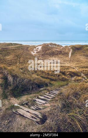 Hölzerne Treppen in den Dünen dänemarks. Hochwertiges Foto Stockfoto