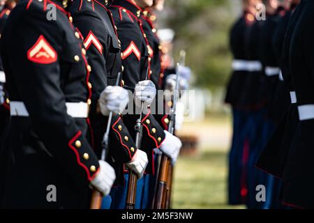 Marines aus den Marine Barracks, Washington D.C. (8. und I) führen militärische Bestattungsgelder mit Begräbnisbegleitung für die USA durch Marinekorps CPL. Thomas Cooper in Sektion 57 des Arlington National Cemetery, Arlington, Virginia, 10. März 2022. Cooper wurde im Zweiten Weltkrieg im Alter von 22 Jahren getötet. Pressemitteilung der Defense POW/MIA Accounting Agency (DPAA): Im November 1943 war Cooper Mitglied von Unternehmen A, 2. Amphibious Tractor Battalion, 2. Marine Division, Fleet Marine Force, die gegen steifen japanischen Widerstand auf der kleinen Insel Betio im Tarawa-Atoll der Gilbert-Inseln landete. Stockfoto