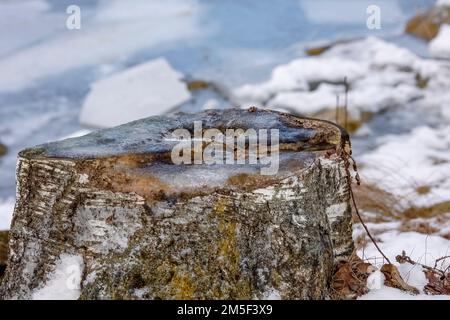 Die Natur schafft wirklich schöne Kunstwerke in der Natur, vor allem mit kaltem Wasser, das gefriert Stockfoto